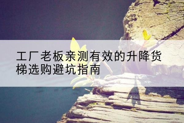 巴楚升降货梯怎么选-工厂老板亲测有效的升降货梯选购避坑指南