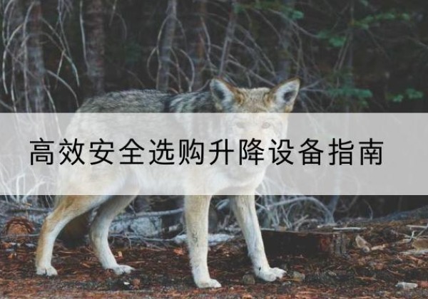 巴楚升降货梯厂家推荐-*安全选购升降设备指南