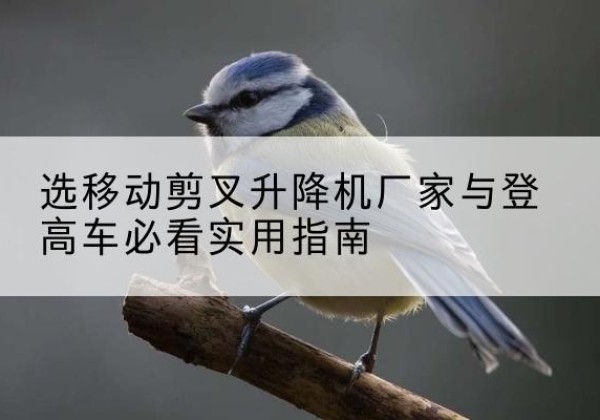 巴楚电动升降机厂家-选移动剪叉升降机厂家与登高车必看实用指南