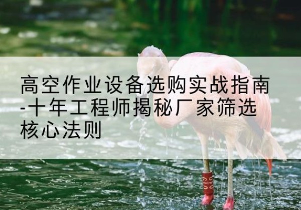 巴楚剪叉式升降机厂家-高空作业设备选购实战指南-十年工程师揭秘厂家筛选核心法则