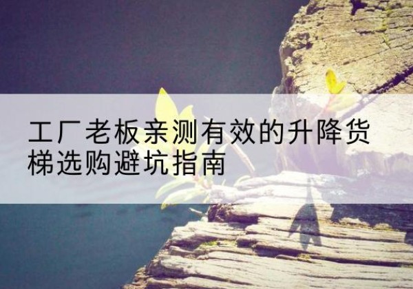 巴楚升降货梯怎么选-工厂老板亲测有效的升降货梯选购避坑指南